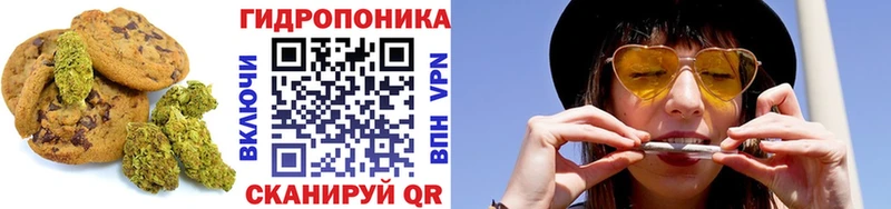 даркнет сайт  Козловка  Cannafood марихуана 