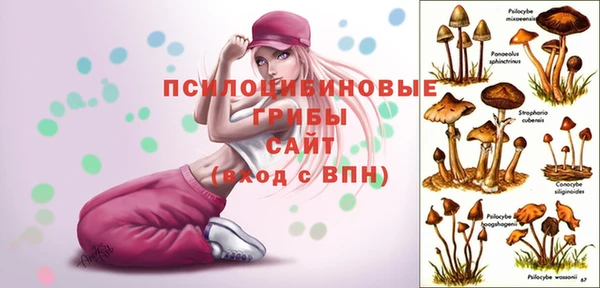 амф Алзамай