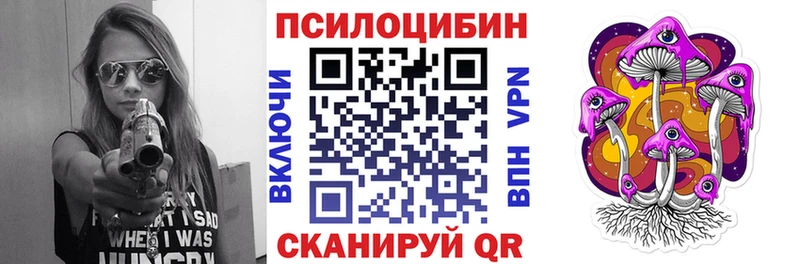 продажа наркотиков Козловка Псилоцибиновые грибы мицелий